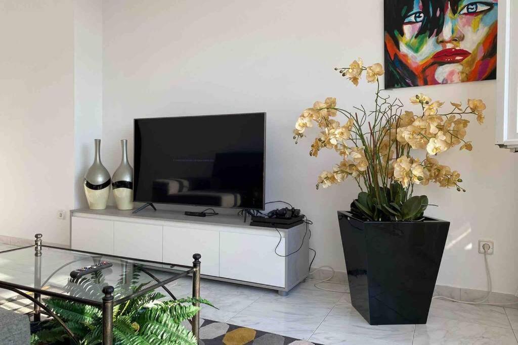 Apartamento Plaza Del Parque 阿罗萨新镇 外观 照片
